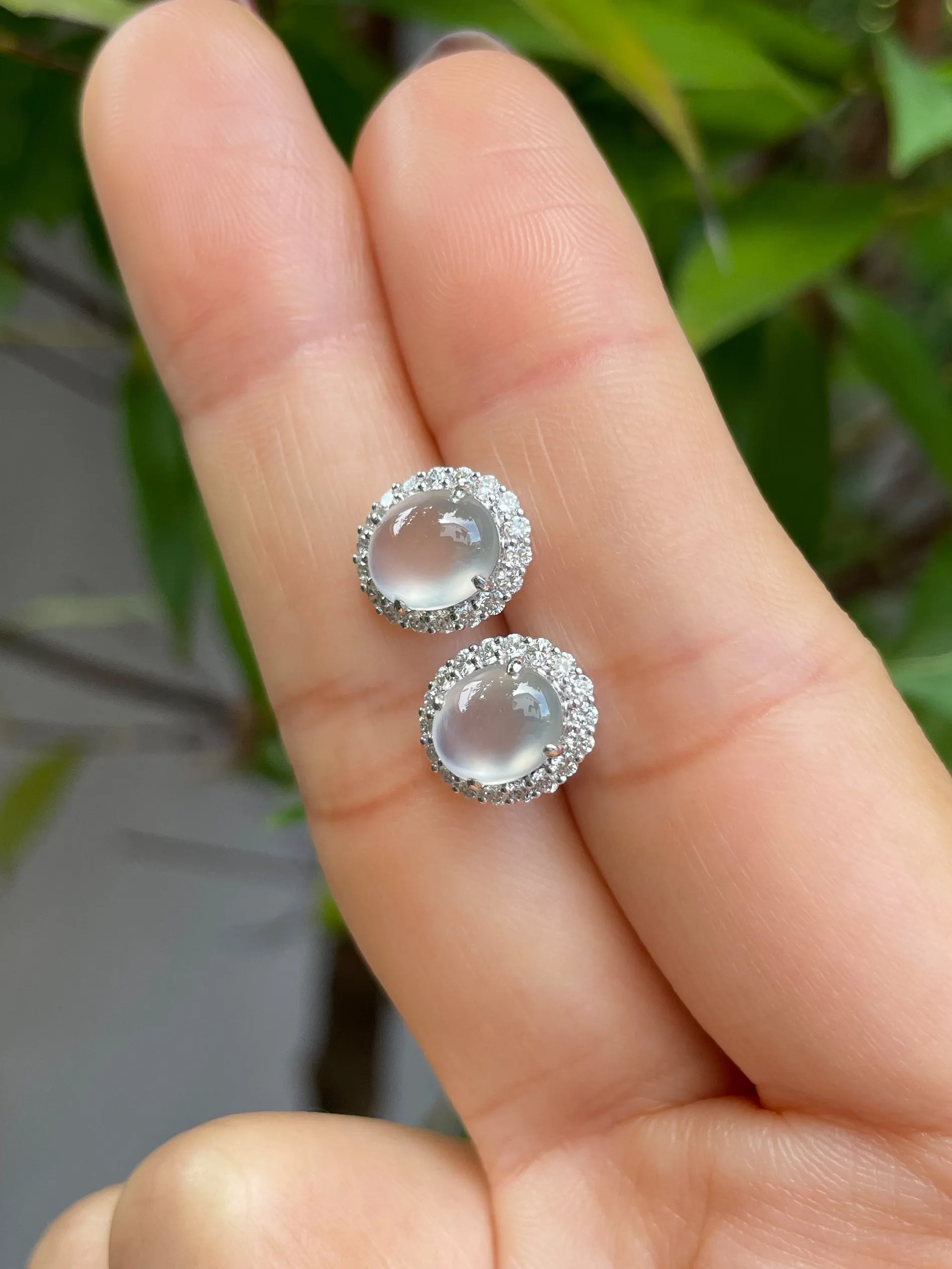 Glassy Jade Cabochon Earrings (NJE063)