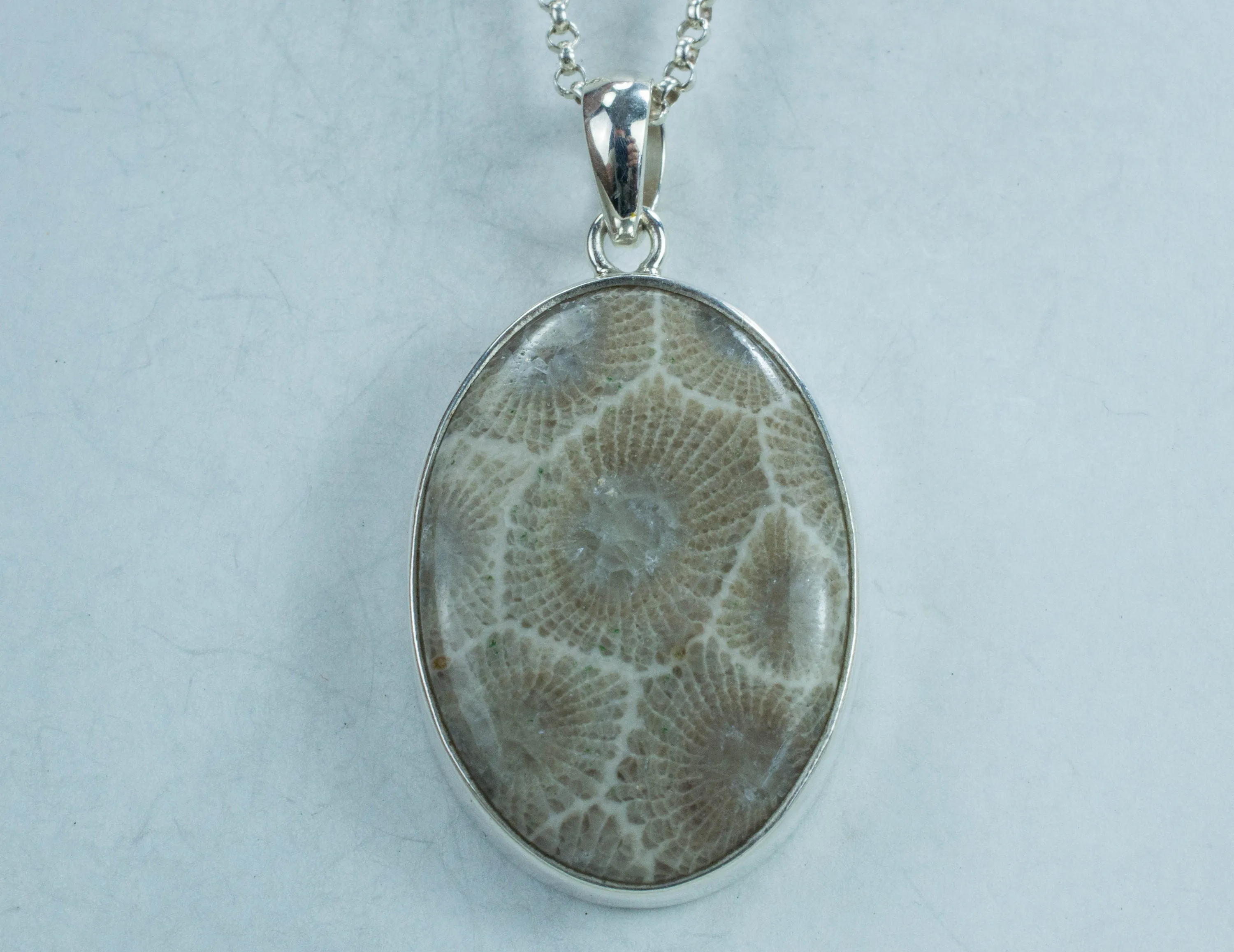 Petoskey Stone Sterling Silver Pendant; Genuine Untreated Michigan Fossil Coral; Petoskey Stone Necklace
