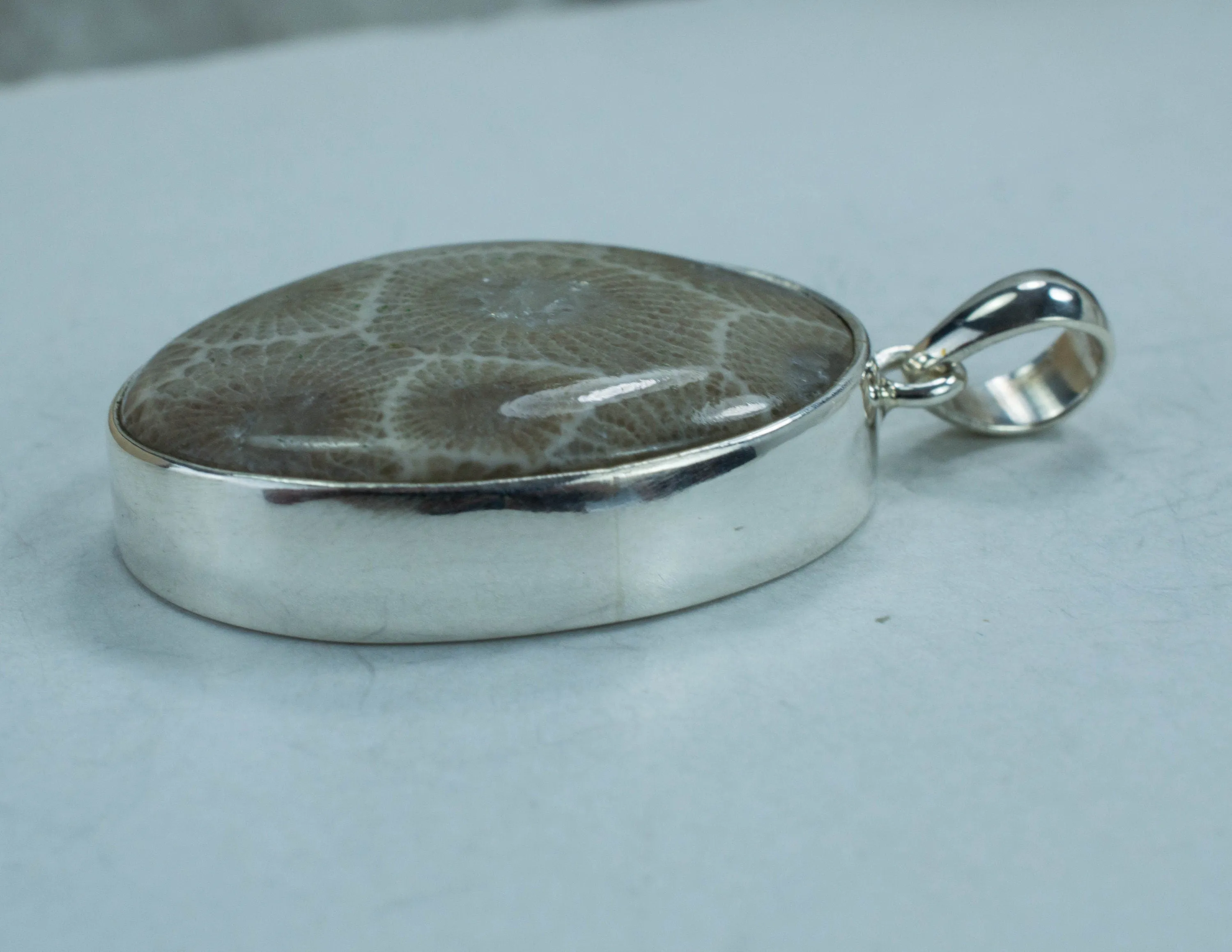 Petoskey Stone Sterling Silver Pendant; Genuine Untreated Michigan Fossil Coral; Petoskey Stone Necklace