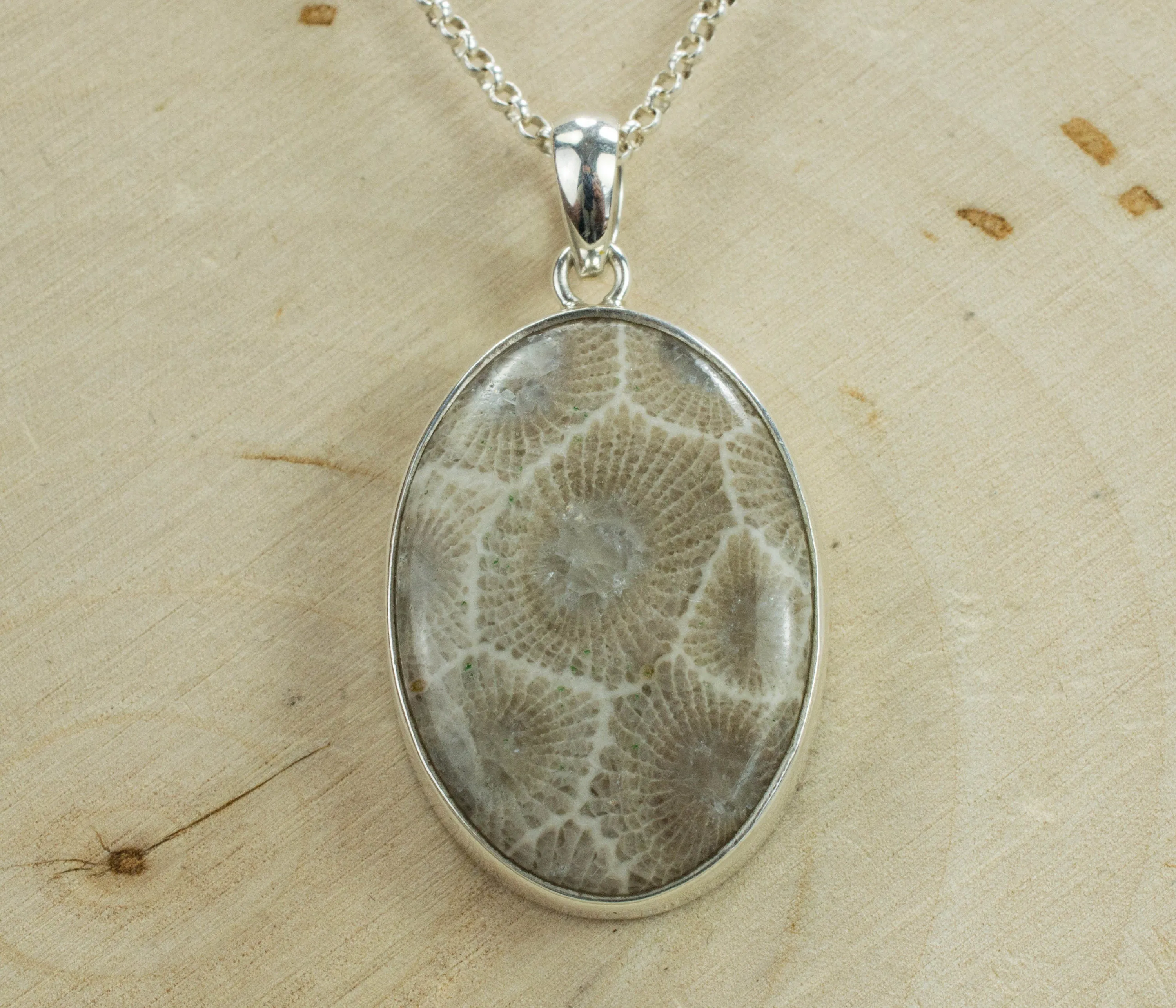 Petoskey Stone Sterling Silver Pendant; Genuine Untreated Michigan Fossil Coral; Petoskey Stone Necklace