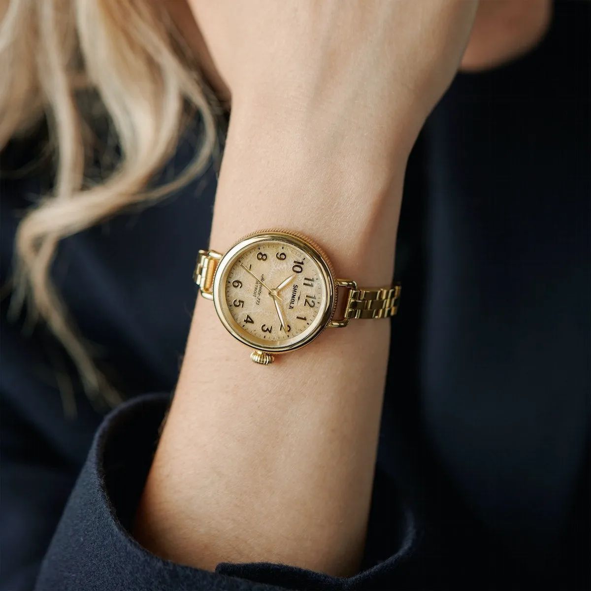 The Petoskey Stone Birdy Shinola Watch